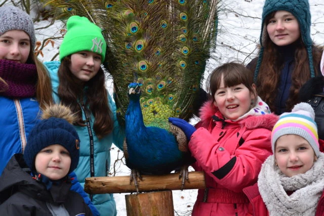 1-tststsyyyyyyyyy-kopyya