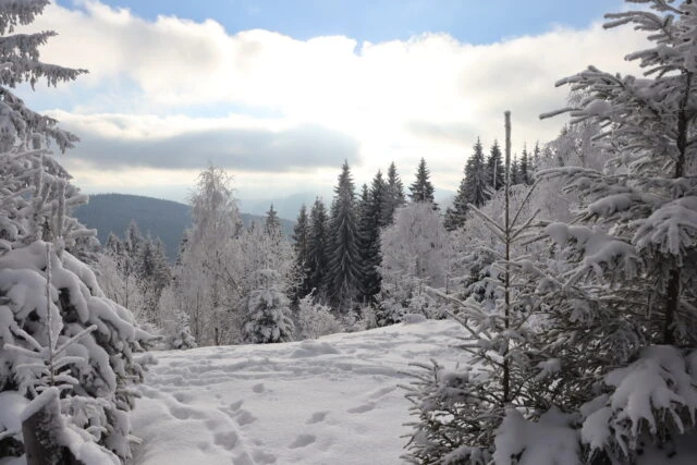 A Walk on Christmas day